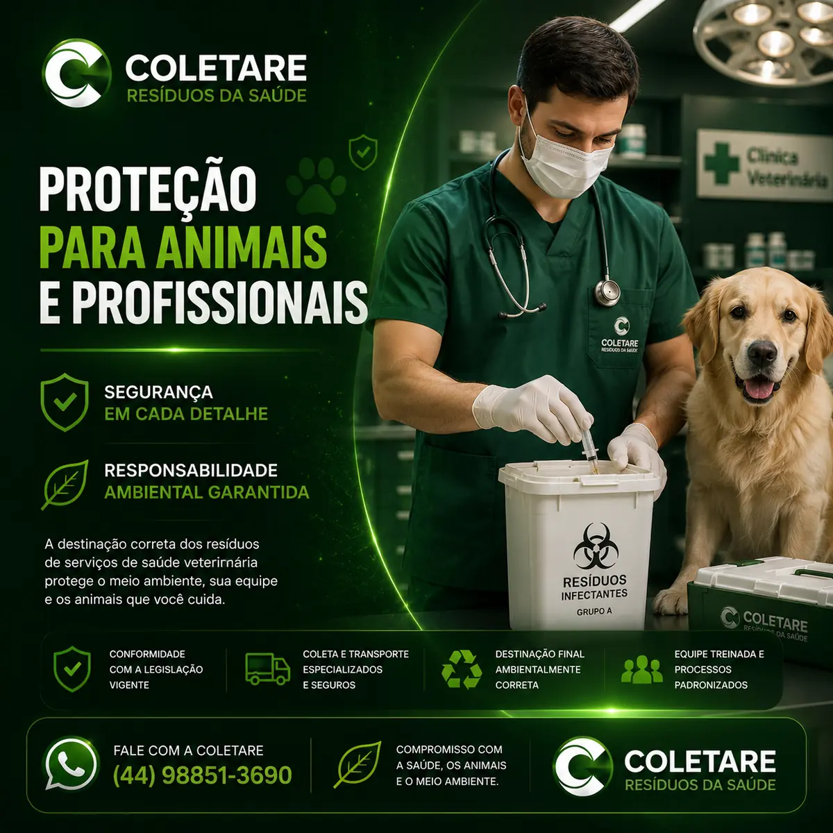 Coletare - imagem 7